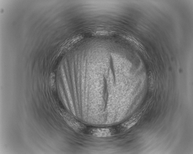 X0000059090361200510281755