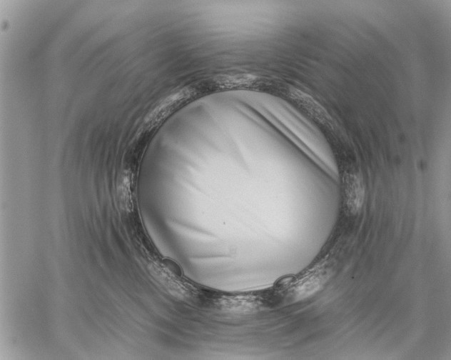 X0000059090378200510281755