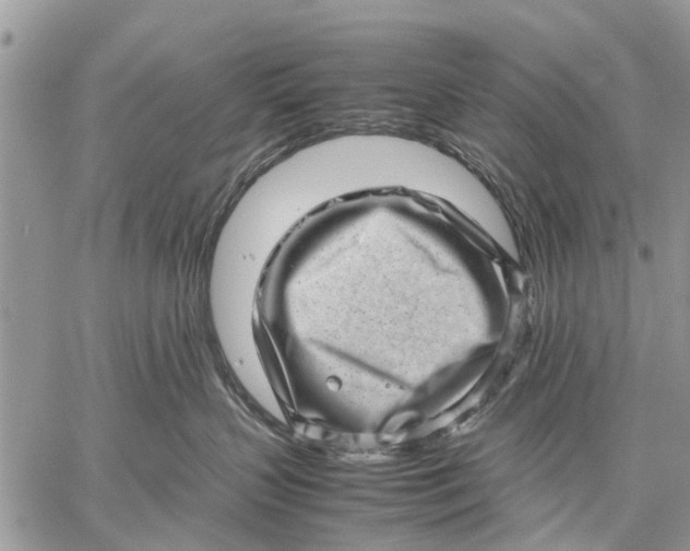 X0000059090383200510281755
