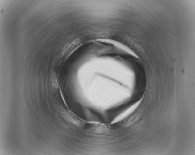 X0000059090384200510281755