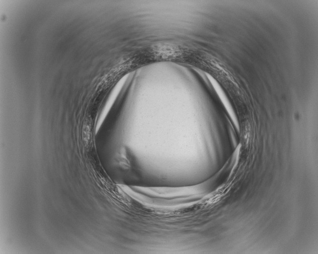 X0000059090417200510281754