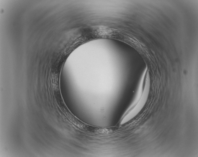 X0000059090421200510281754