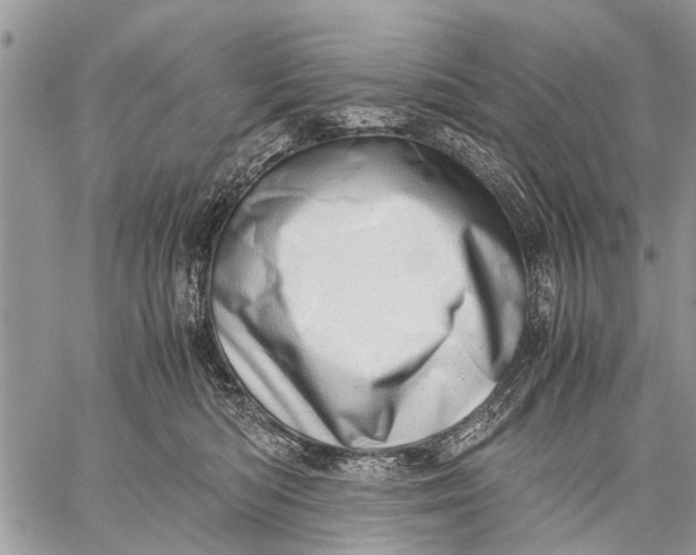 X0000059090422200510281754