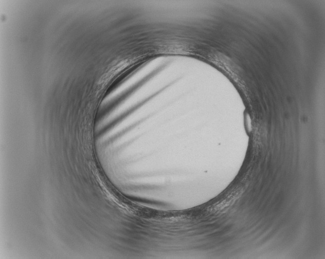 X0000059090433200510281753