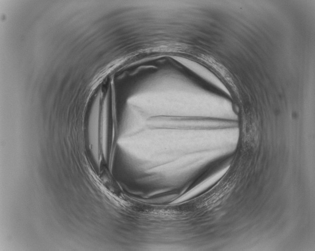 X0000059090437200510281753