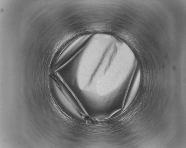 X0000059090439200510281753