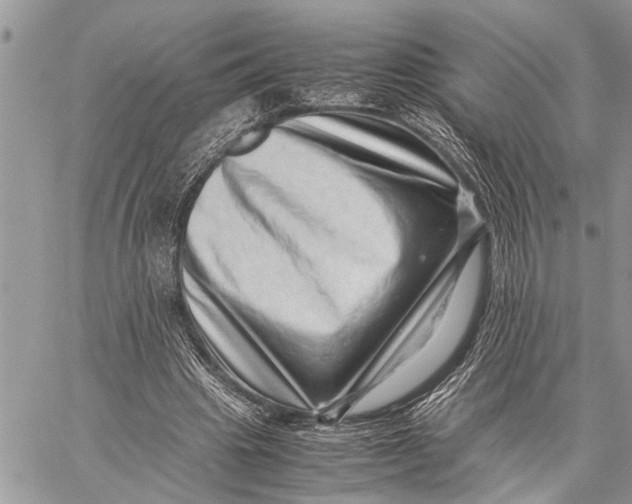 X0000059090441200510281753
