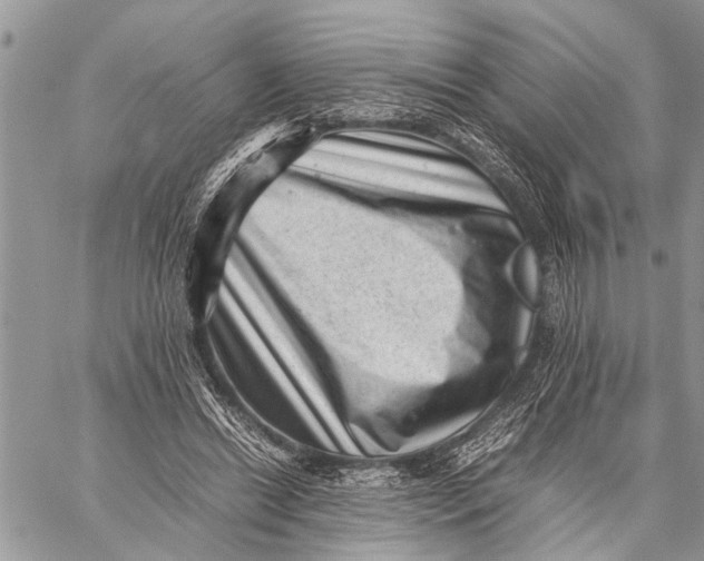 X0000059090446200510281753
