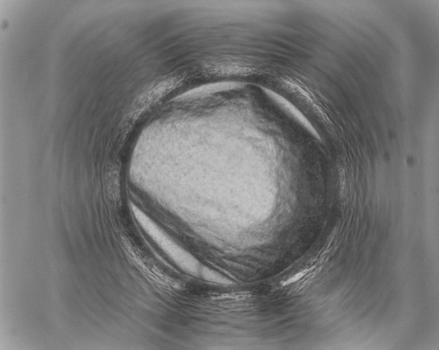 X0000059090447200510281753