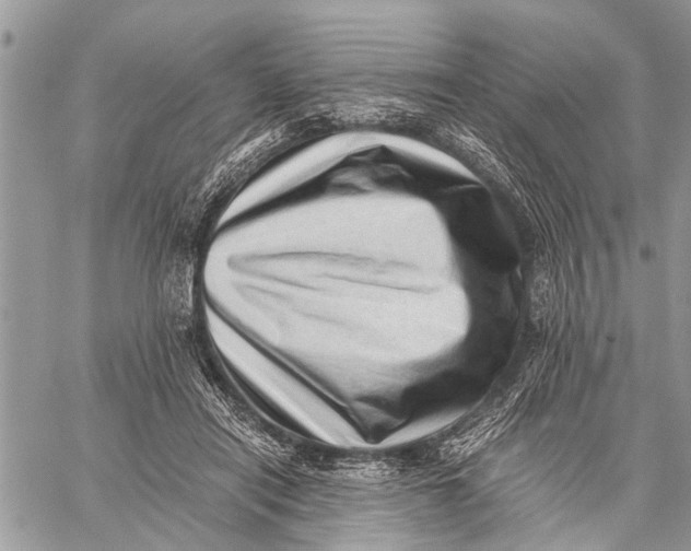 X0000059090454200510281753