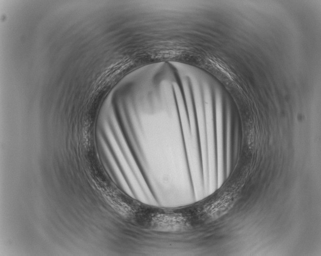 X0000059090455200510281753