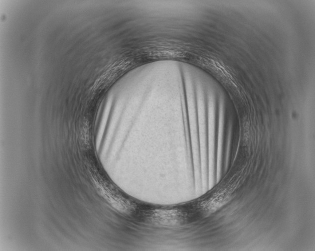 X0000059090457200510281753