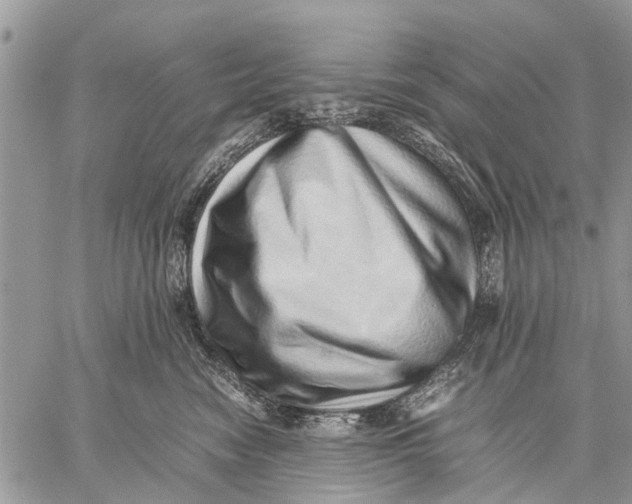 X0000059090474200510281753