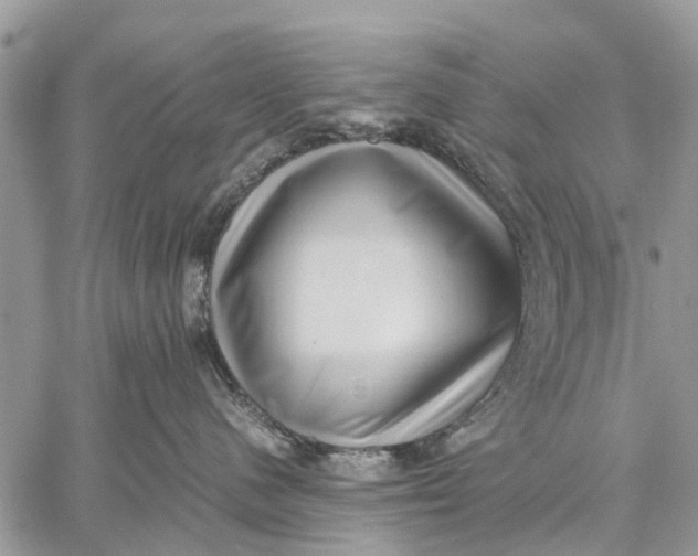 X0000059090480200510281753