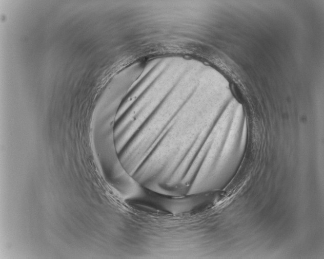 X0000059090481200510281753
