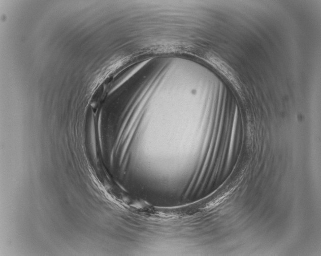 X0000059090485200510281753