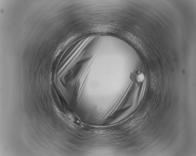 X0000059090486200510281753