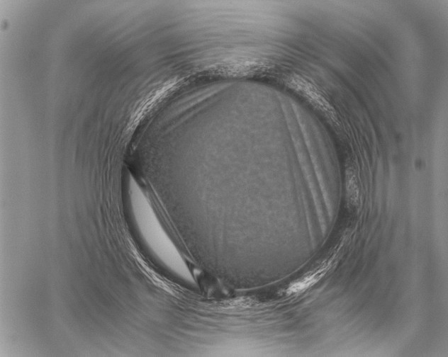 X0000059090493200510281752