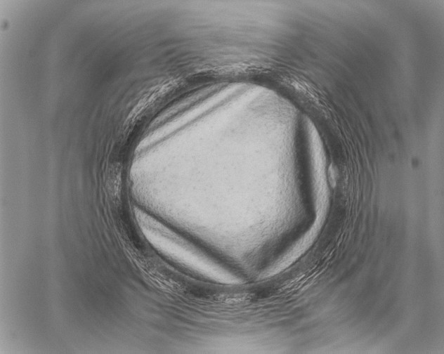 X0000059090495200510281752
