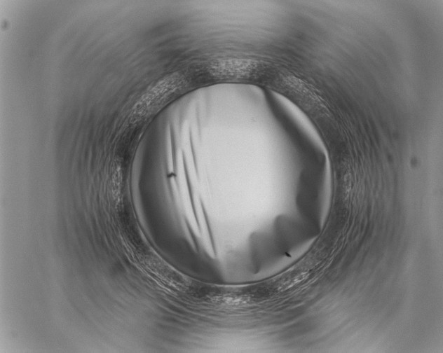 X0000059090498200510281752
