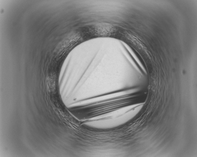 X0000059090505200510281752