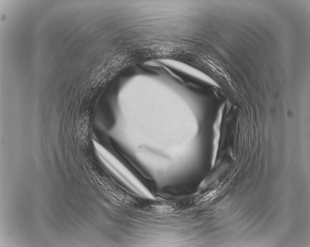 X0000059090509200510281752