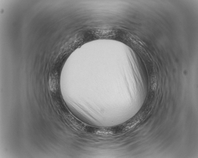 X0000059090515200510281752