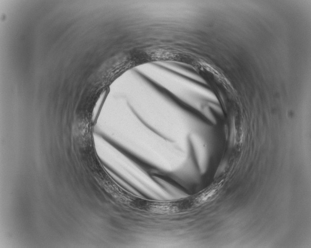X0000059090521200510281752