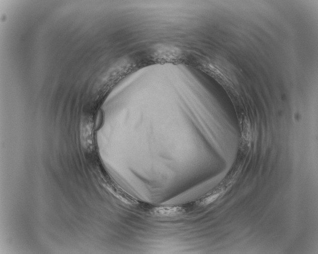 X0000059090526200510281752