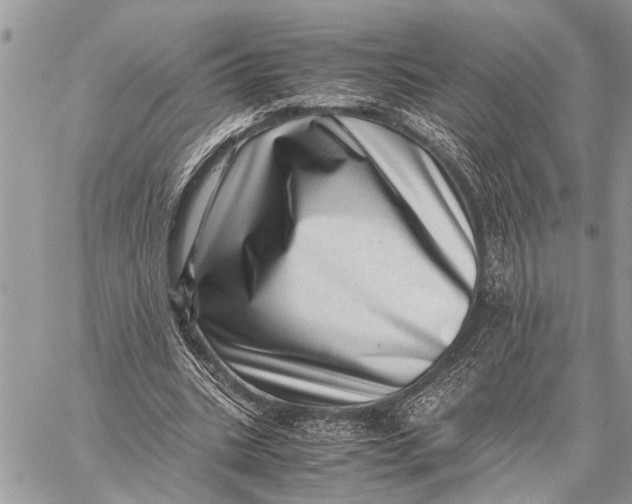 X0000059090535200510281751