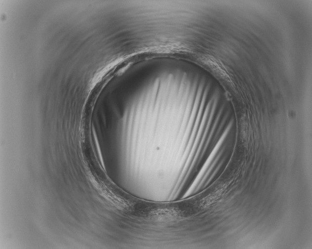 X0000059090536200510281751
