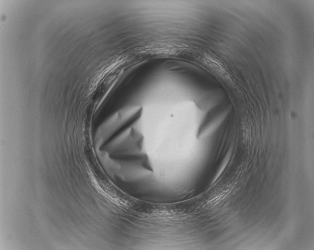 X0000059090538200510281751