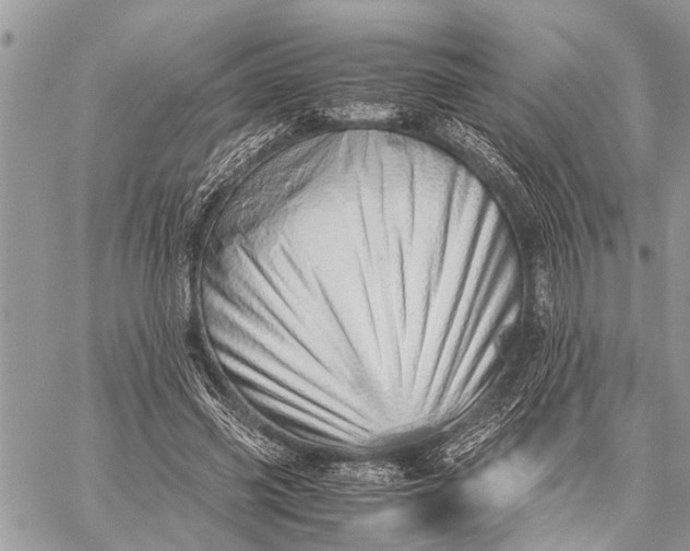 X0000059090541200510281751