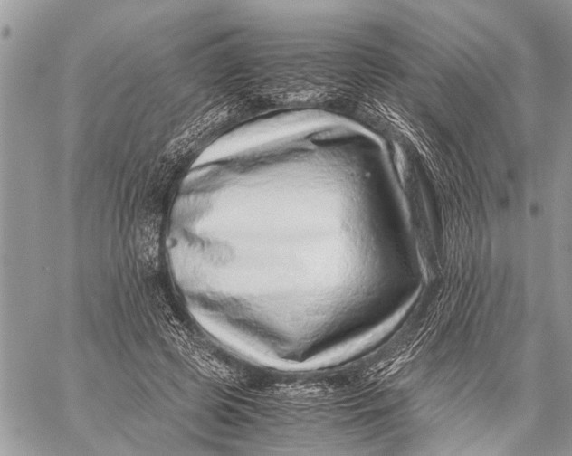 X0000059090545200510281751