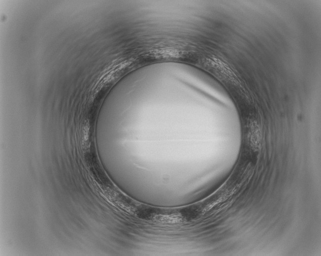 X0000059090548200510281751