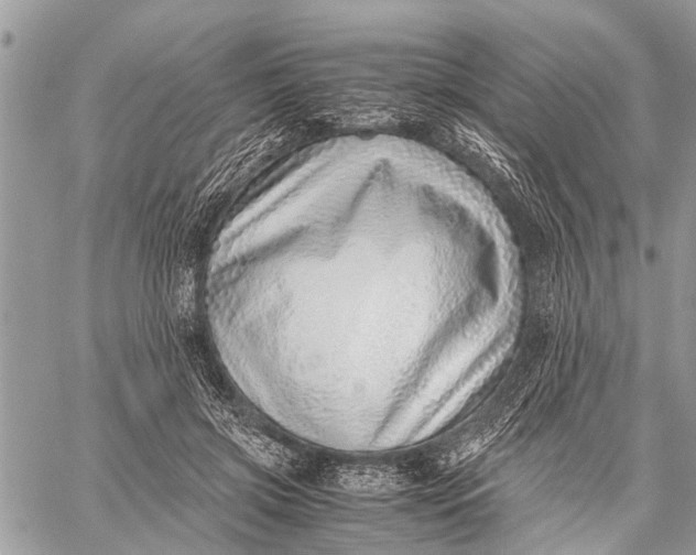 X0000059090549200510281751