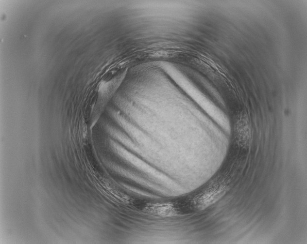 X0000059090554200510281751