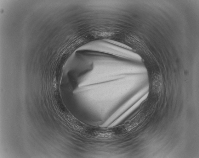 X0000059090555200510281751