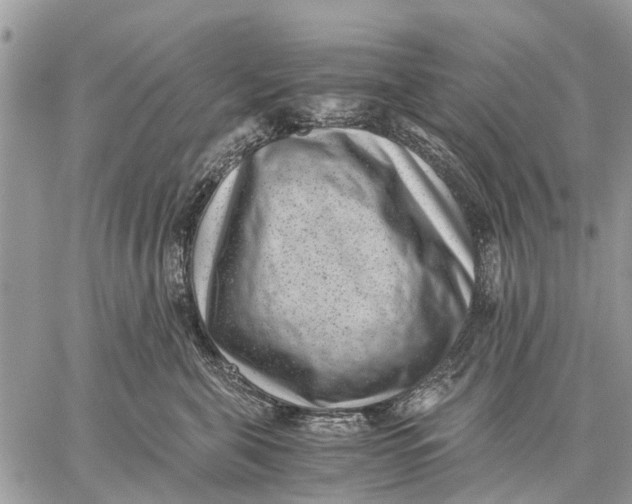 X0000059090571200510281752