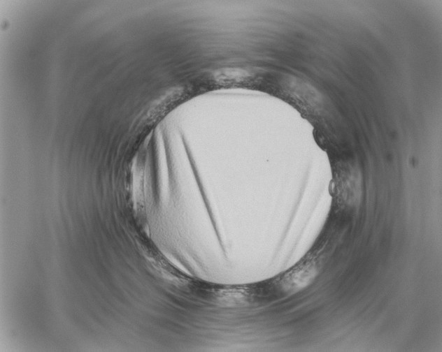 X0000059090574200510281752