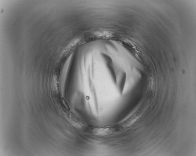 X0000059090575200510281752