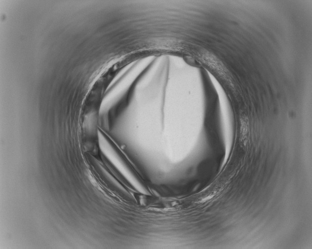 X0000059090580200510281751