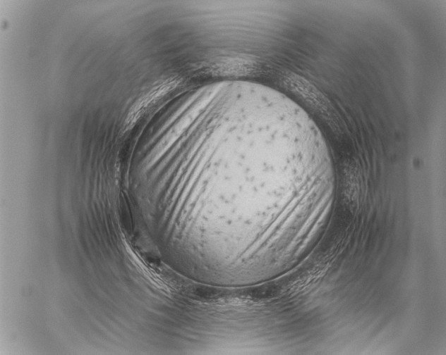 X0000059090586200510281751