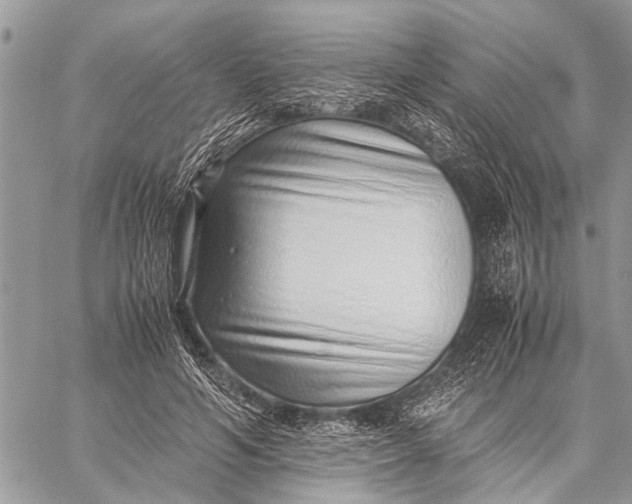 X0000059090594200510281751
