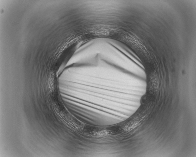 X0000059090600200510281751