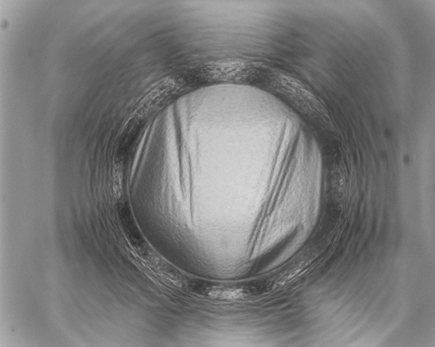X0000059090602200510281751
