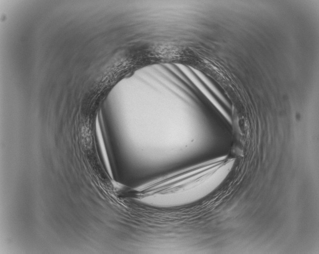 X0000059090609200510281751