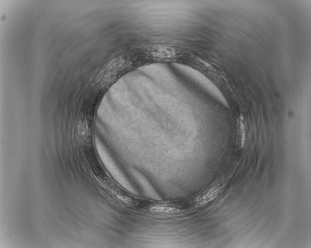 X0000059090614200510281750