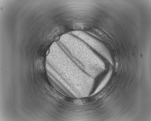 X0000059090616200510281750