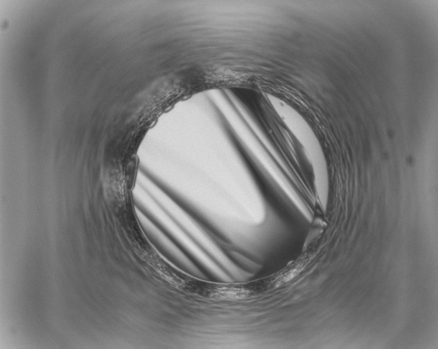 X0000059090617200510281750